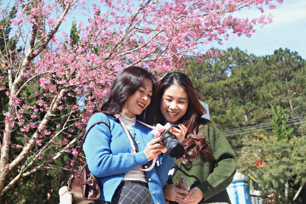 dan de 36 so danh quanh nam bi quyet vuot troi trong du doan xo so moi thoi diem 6983ebce3a92f